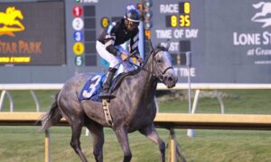 Texas horse betting at Lone Star Park 25th Anniversary