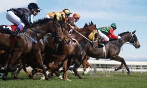 Spat between state and federal regulators may end live and simulcast parimutuel betting